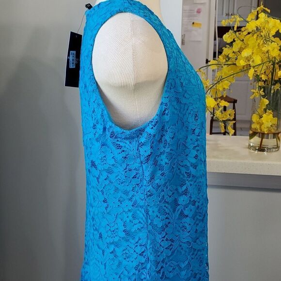 NWT,‎ blue lace dress. Sleevless size 15. By American Living. Great Easte… - Picture 4 of 9